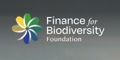 Finance for Biodiversity Foundation (FfB)