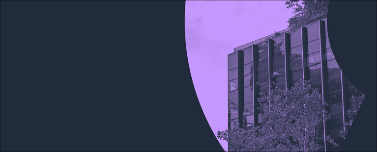 Banner image