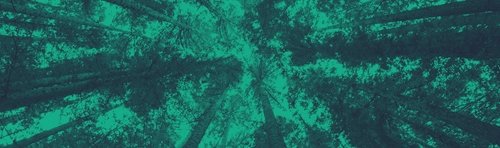 Sustainability